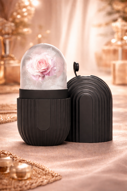 Ice Facial Roller Mold