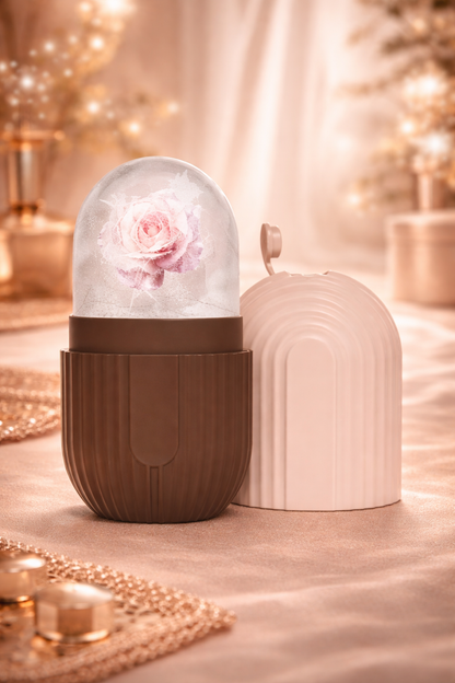 Ice Facial Roller Mold