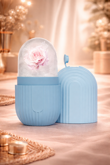 Ice Facial Roller Mold